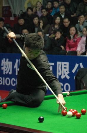 不断增加 不断增加